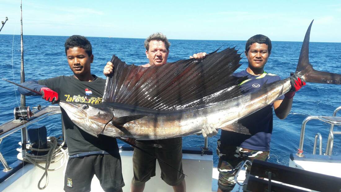  Catching a sail fish on Thaion Fishing Charter in Phuket Picture